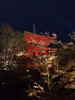 2015.4.2 京都１.JPG